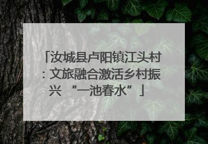 汝城县卢阳镇江头村：文旅融合激活乡村振兴 “一池春水”