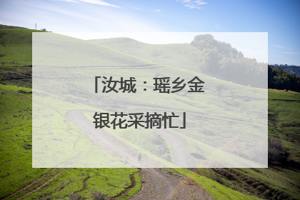 汝城：瑶乡金银花采摘忙