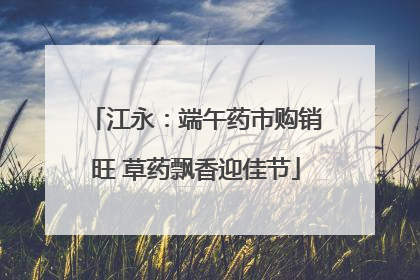 江永：端午药市购销旺 草药飘香迎佳节
