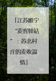 江苏睢宁“麦客驿站”：苏北村庄的麦收温情