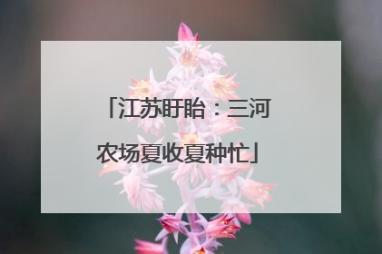 江苏盱眙：三河农场夏收夏种忙