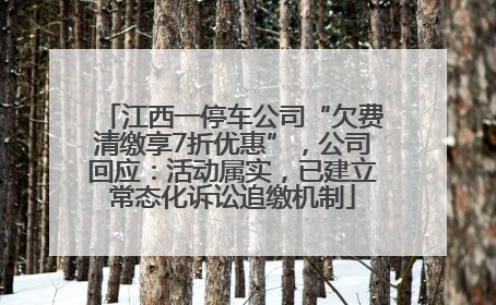 江西一停车公司“欠费清缴享7折优惠”，公司回应：活动属实，已建立常态化诉讼追缴机制