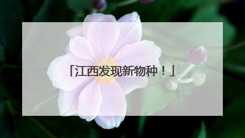 江西发现新物种！