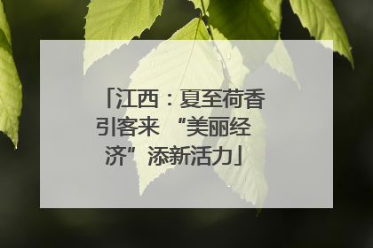 江西：夏至荷香引客来 “美丽经济”添新活力