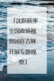沈跃跃率全国政协视察团在吉林开展专题视察
