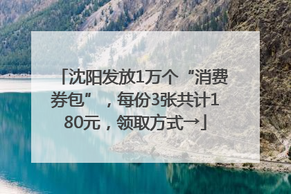 沈阳发放1万个“消费券包”，每份3张共计180元，领取方式→