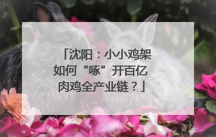 沈阳：小小鸡架如何“啄”开百亿肉鸡全产业链？