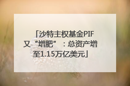 沙特主权基金PIF又“增肥”：总资产增至1.15万亿美元