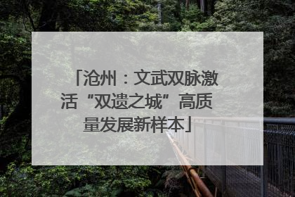 沧州：文武双脉激活“双遗之城”高质量发展新样本