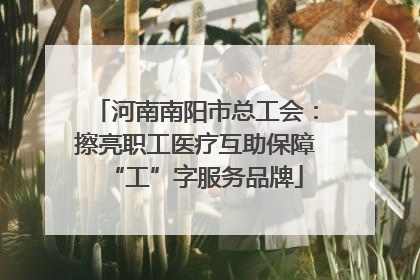 河南南阳市总工会：擦亮职工医疗互助保障“工”字服务品牌