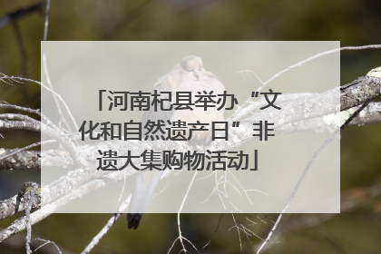 河南杞县举办“文化和自然遗产日”非遗大集购物活动