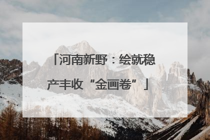 河南新野：绘就稳产丰收“金画卷”