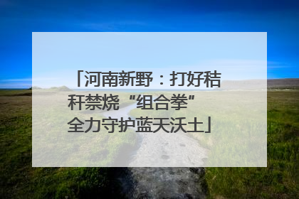 河南新野：打好秸秆禁烧“组合拳” 全力守护蓝天沃土