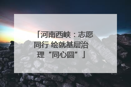河南西峡：志愿同行 绘就基层治理“同心圆”
