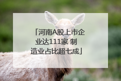 河南A股上市企业达111家 制造业占比超七成
