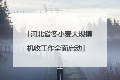 河北省冬小麦大规模机收工作全面启动