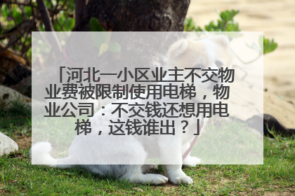河北一小区业主不交物业费被限制使用电梯，物业公司：不交钱还想用电梯，这钱谁出？