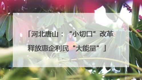 河北唐山：“小切口”改革释放惠企利民“大能量”