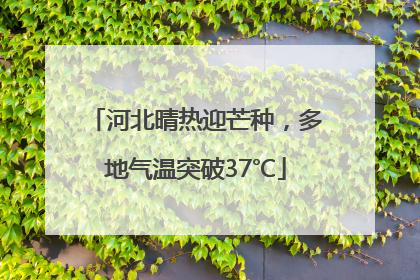 河北晴热迎芒种，多地气温突破37℃