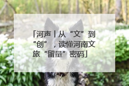 河声丨从“文”到“创”，读懂河南文旅“留量”密码
