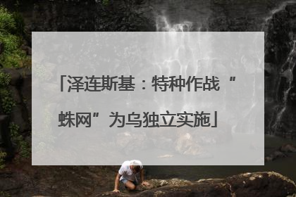泽连斯基：特种作战“蛛网”为乌独立实施
