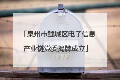 泉州市鲤城区电子信息产业链党委揭牌成立