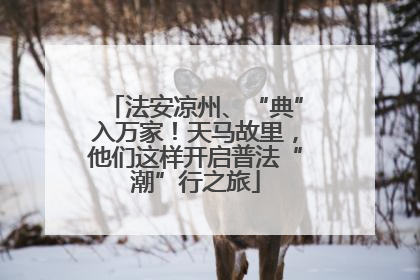 法安凉州、“典”入万家！天马故里，他们这样开启普法“潮”行之旅