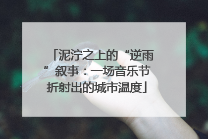 泥泞之上的“逆雨”叙事：一场音乐节折射出的城市温度