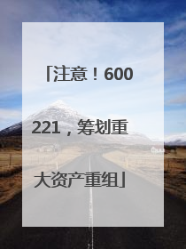 注意！600221，筹划重大资产重组