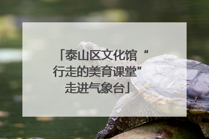泰山区文化馆“行走的美育课堂”走进气象台