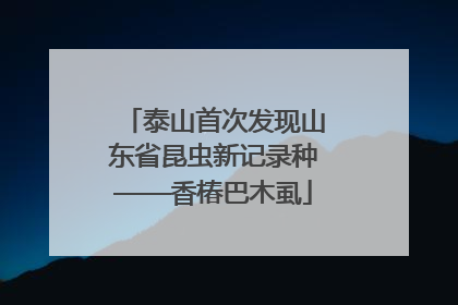 泰山首次发现山东省昆虫新记录种——香椿巴木虱