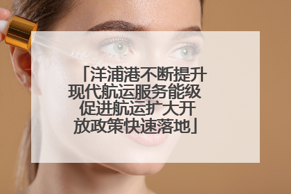 洋浦港不断提升现代航运服务能级 促进航运扩大开放政策快速落地