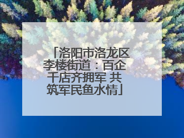 洛阳市洛龙区李楼街道：百企千店齐拥军 共筑军民鱼水情