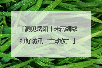 洞见岳阳丨未雨绸缪 打好防汛“主动仗”
