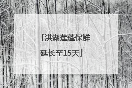 洪湖莲蓬保鲜延长至15天