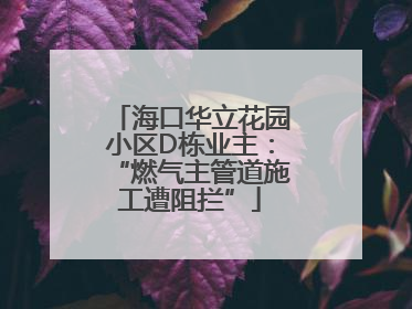 海口华立花园小区D栋业主：“燃气主管道施工遭阻拦”