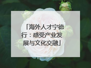 海外人才宁德行：感受产业发展与文化交融