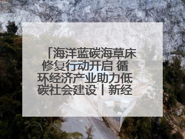 海洋蓝碳海草床修复行动开启 循环经济产业助力低碳社会建设丨新经济观察