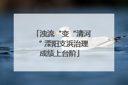 浊流“变“清河“ 溧阳支浜治理成绩上台阶