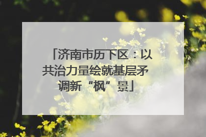 济南市历下区：以共治力量绘就基层矛调新“枫”景