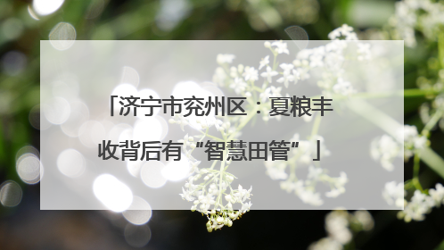 济宁市兖州区：夏粮丰收背后有“智慧田管”