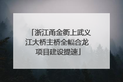 浙江甬金衢上武义江大桥主桥全幅合龙 项目建设提速