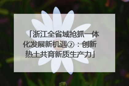 浙江全省域抢抓一体化发展新机遇②：创新热土共育新质生产力