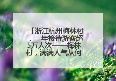 浙江杭州梅林村，一年接待游客超5万人次——梅林村，满满人气从何来（经济新方位·农村消费观察）