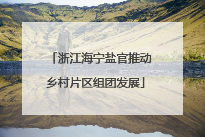 浙江海宁盐官推动乡村片区组团发展
