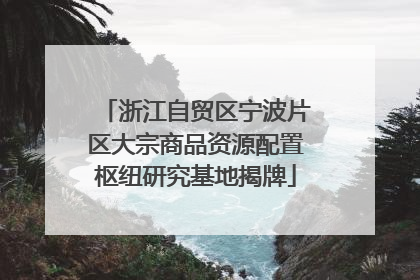 浙江自贸区宁波片区大宗商品资源配置枢纽研究基地揭牌