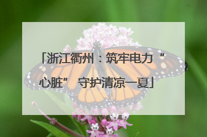 浙江衢州：筑牢电力“心脏” 守护清凉一夏