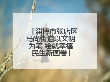 淄博市张店区马尚街道以文明为笔 绘就幸福民生新画卷