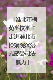 淮北市梅苑学校学子走进淮北市检察院沉浸式感受司法魅力