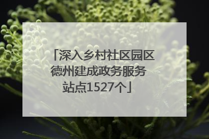 深入乡村社区园区 德州建成政务服务站点1527个